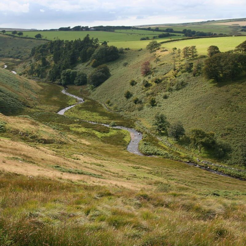 Brendon Hills