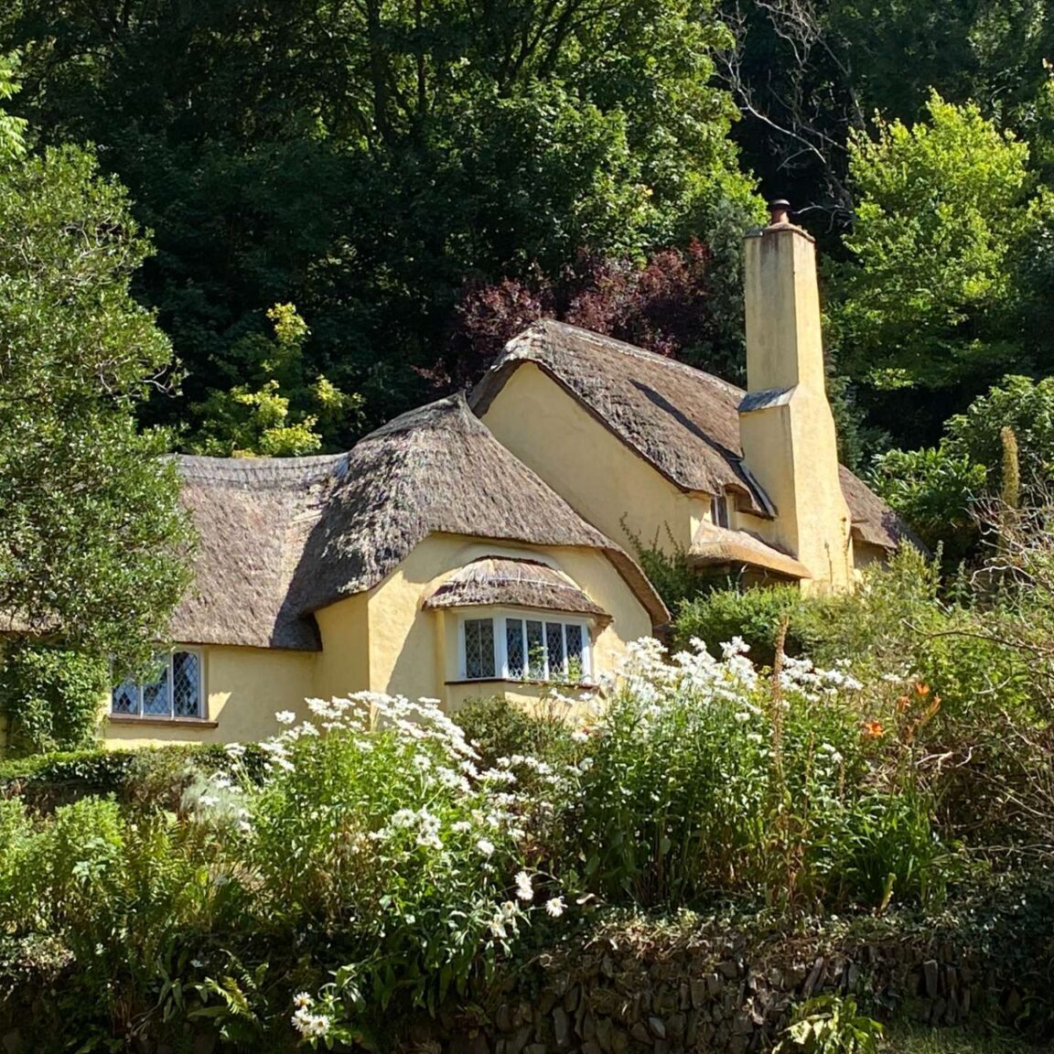 Selworthy - IMG_9791